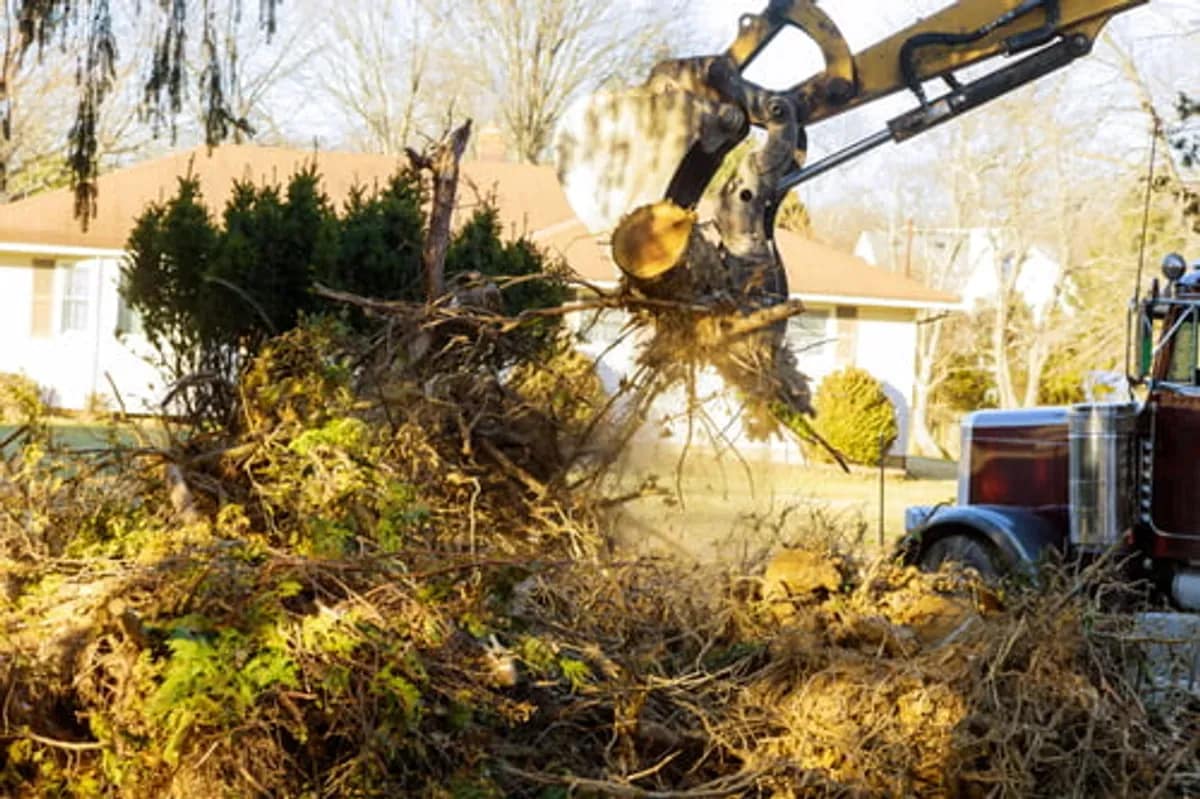 Escudero Tree Service grapple truck lifting a large stump from a residential yard at golden hour near Austin, Texas